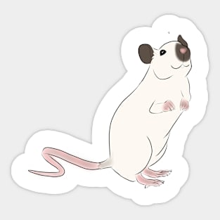 Siamese Rat Sticker